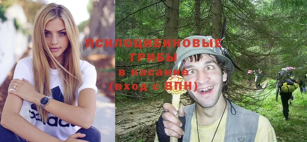 PSILOCYBIN Баксан