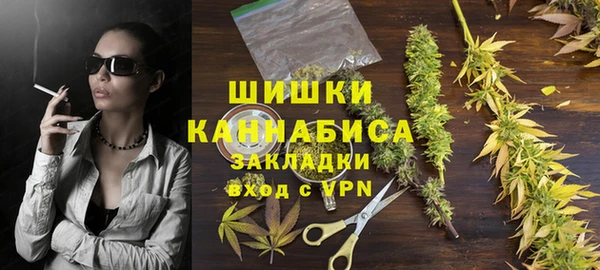 PSILOCYBIN Баксан