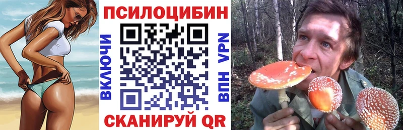 дарнет шоп  Белый  Галлюциногенные грибы прущие грибы 